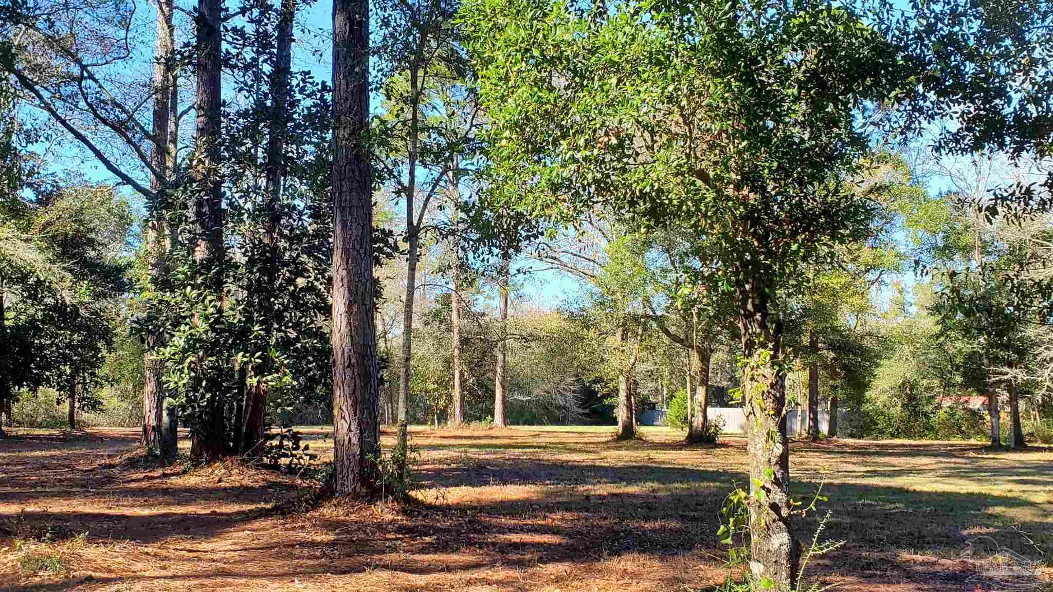 9660 Sidney Road Pensacola, FL 32507 - Photo 4 of 25 Partially cleared!