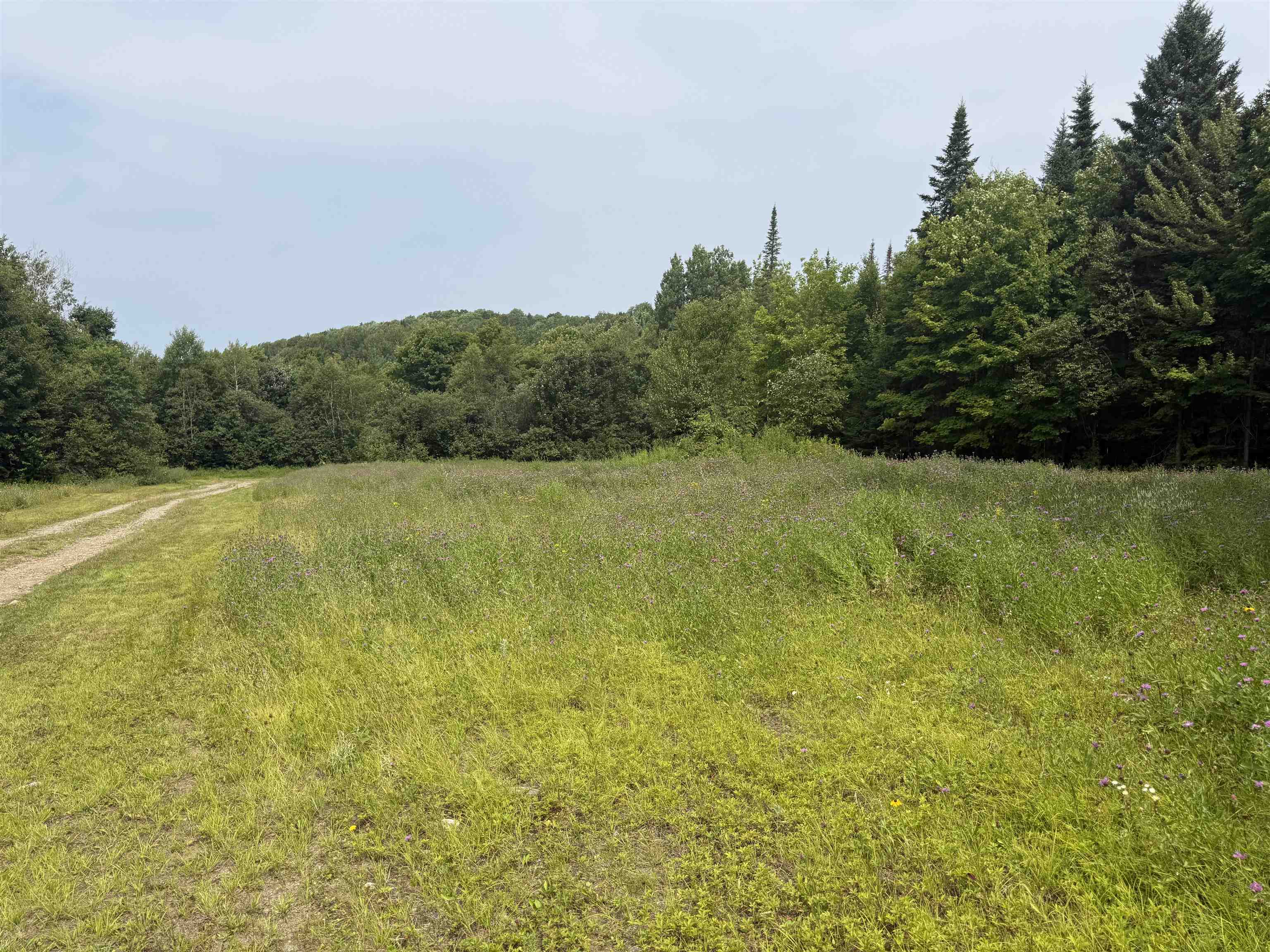 763 Hunting Camp Road Holland, VT 05830 - Photo 41 of 44 Gallery Image 41