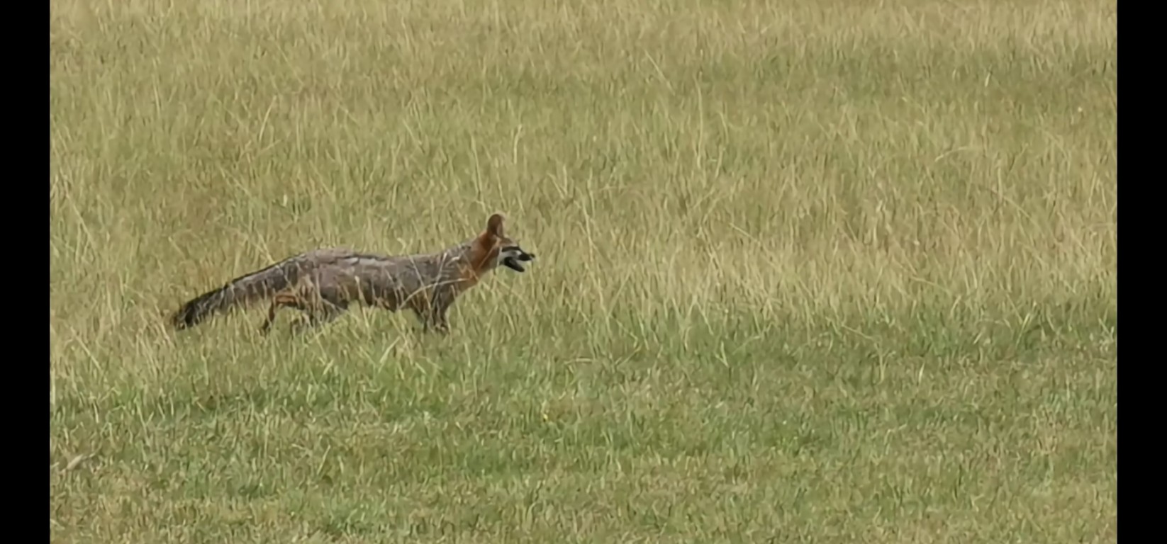 1701 Sycamore Street Temple, TX 76502 - Photo 14 of 20 a bathroom with a shower