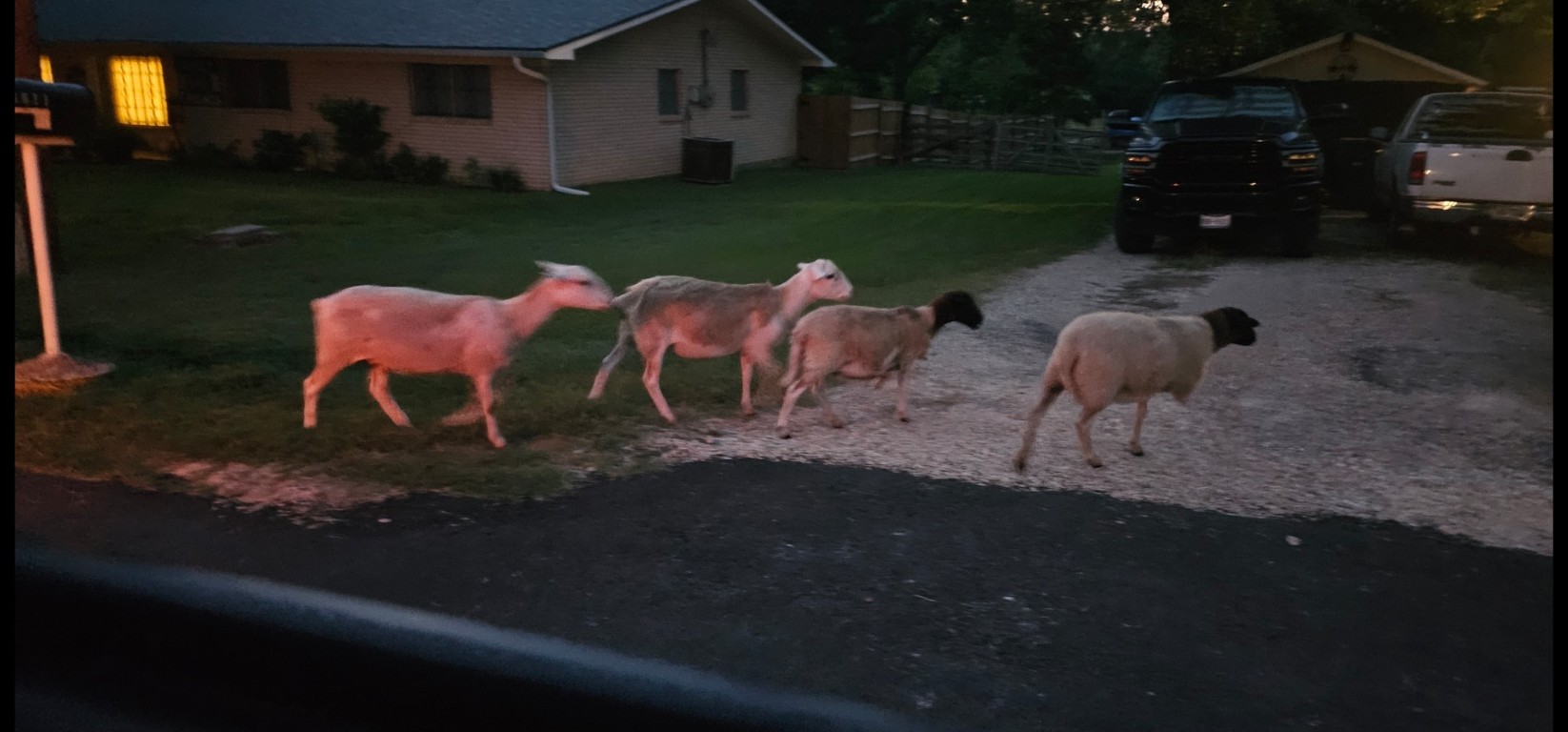 1701 Sycamore Street Temple, TX 76502 - Photo 16 of 20 a backyard of a house with garden barbeque oven and outdoor seating