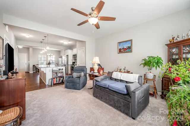 a living room with furniture and a potted plant
