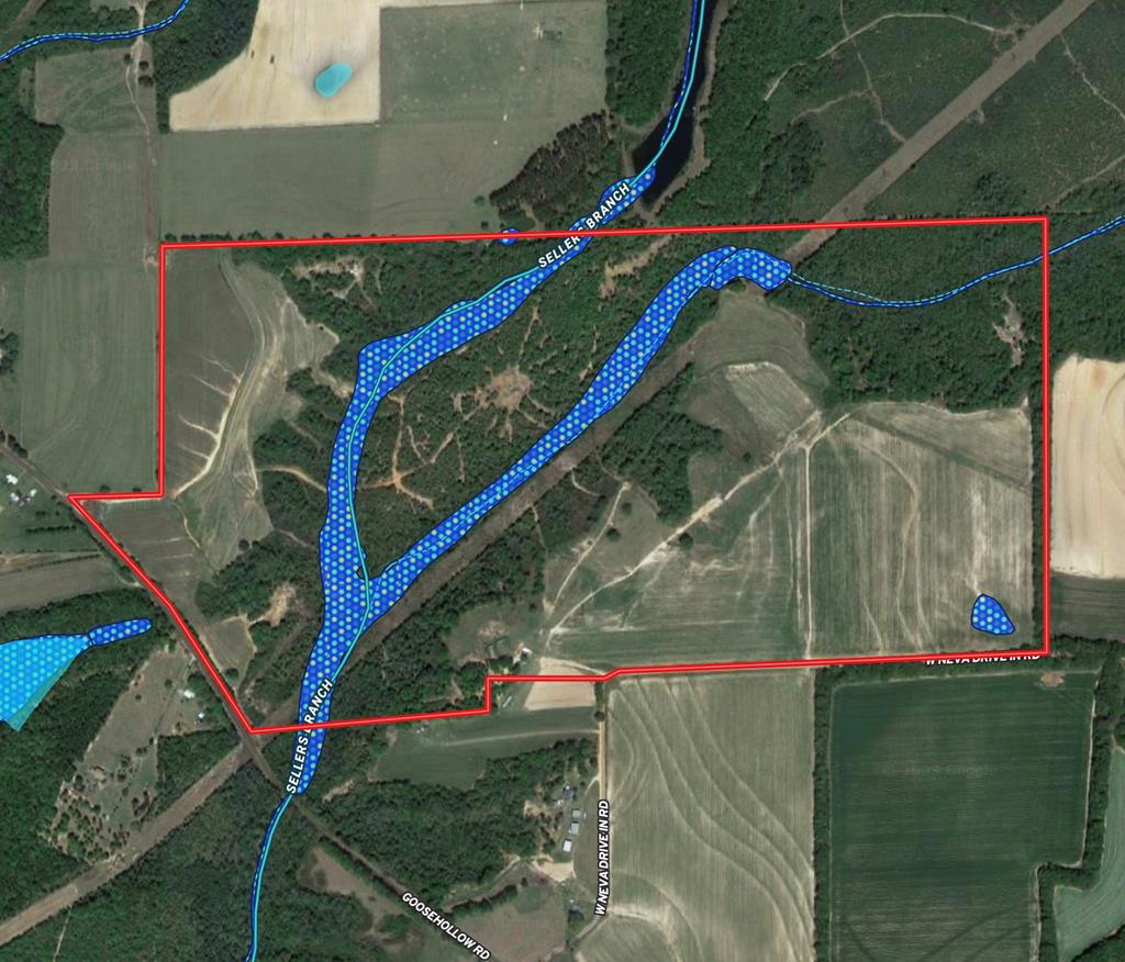 318.5-ac Goose Hollow Road Geneva, AL 36340 - Photo 37 of 50