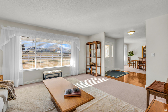 1060 West 2620th Street South Mapleton, UT 84664 - Photo 10 of 87 Living room featuring light colored carpet, plenty of natural light, and a textured ceiling