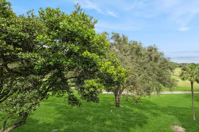 a view of a lush green space