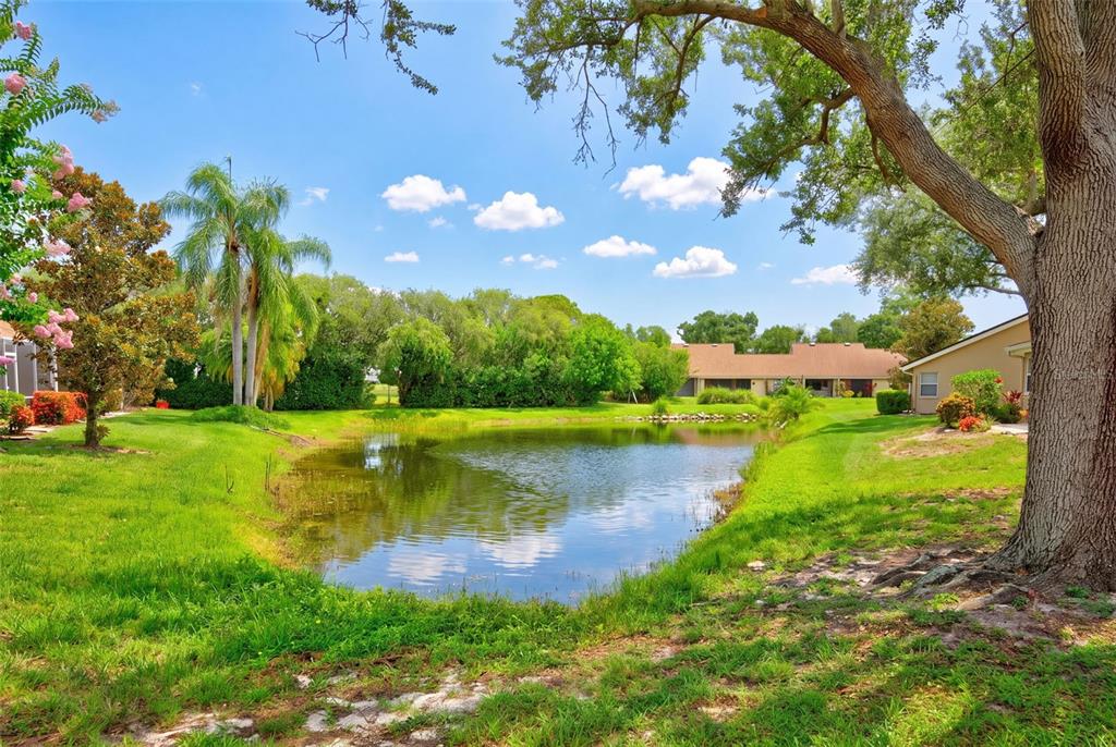 5626 Monte Rosso Road Sarasota, FL 34243 - Photo 20 of 69
