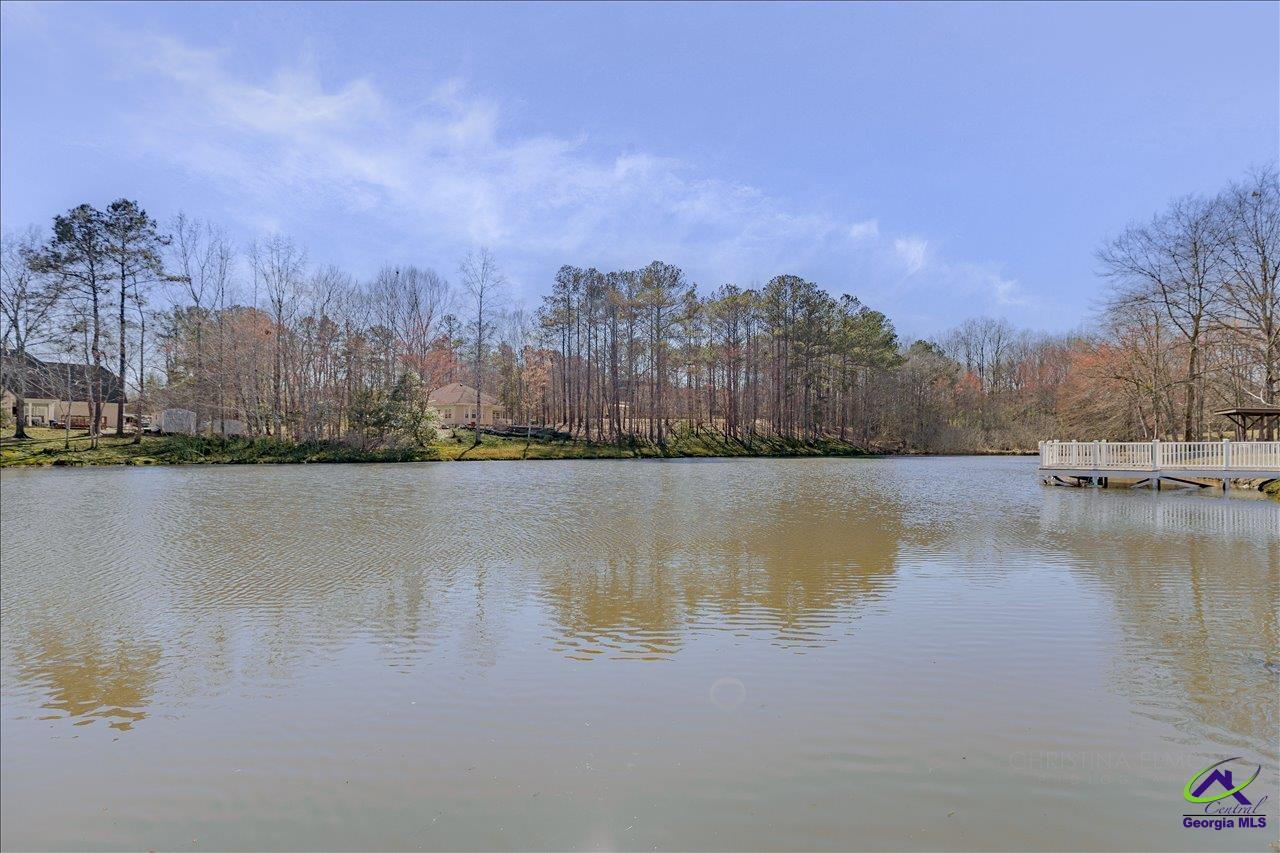 309 High Falls Road Jackson, GA 30233 - Photo 45 of 48