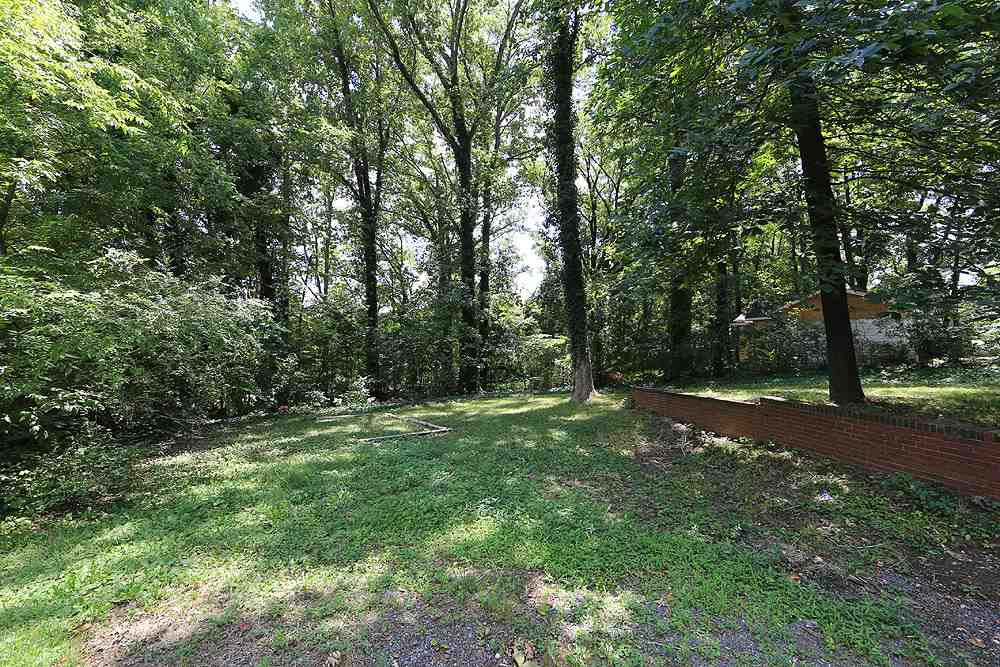 The backyard is spacious and well-suited for pets or gardening. Backyard
