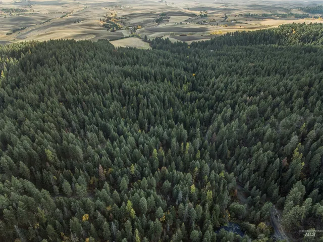 $65,000 | Tbd Foothill Road, Moscow, ID 83843