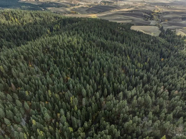 $65,000 | Tbd Foothill Road, Moscow, ID 83843