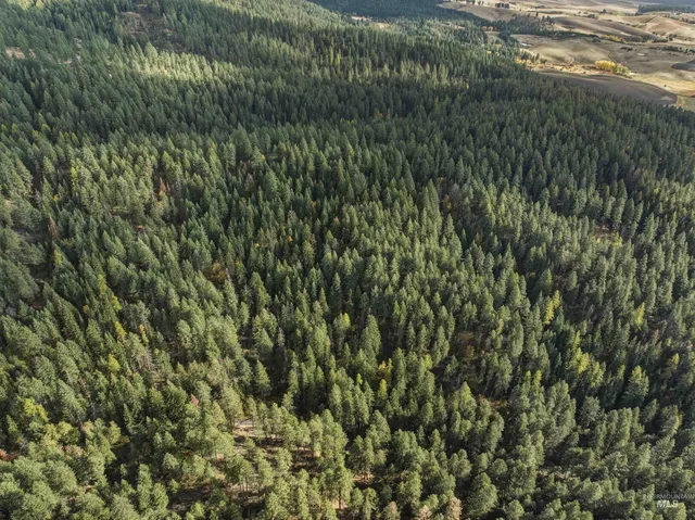 $65,000 | Tbd Foothill Road, Moscow, ID 83843