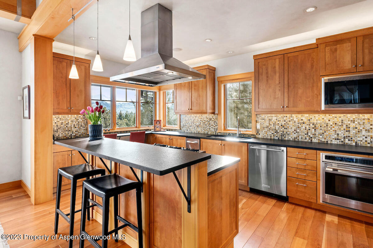144 Vega Road Carbondale, CO 81623 - Photo 16 of 41 144Vega_DASH43
