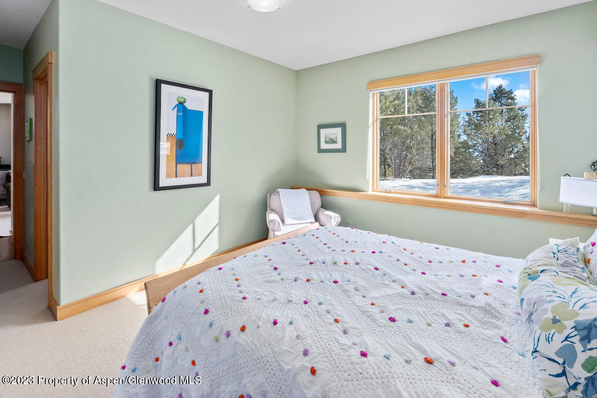 144 Vega Road Carbondale, CO 81623 - Photo 29 of 41 144Vega_DASH24