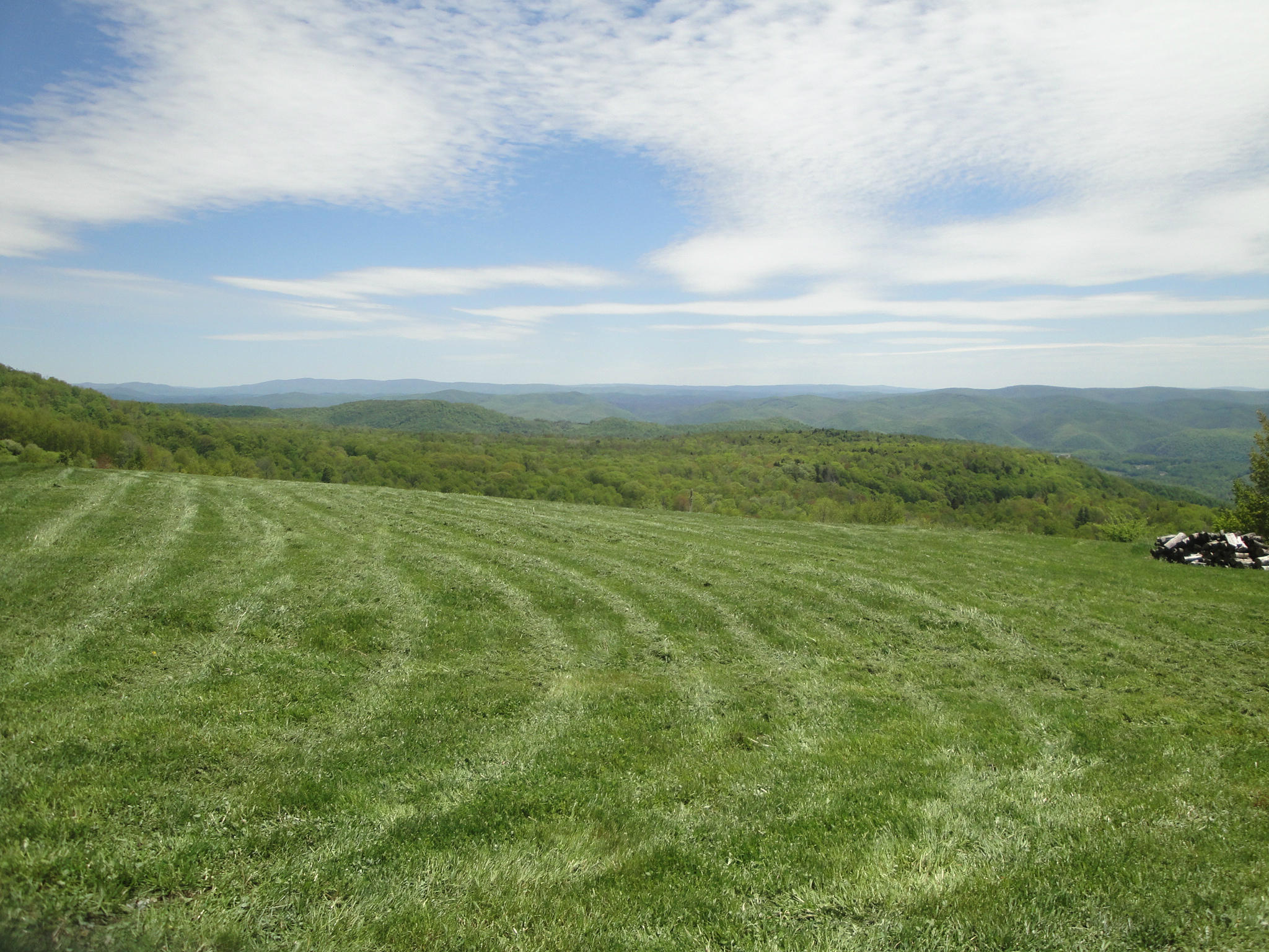 Spruce Flats Road Marlinton, WV 24954 - Photo 7 of 29 Gallery Image 7