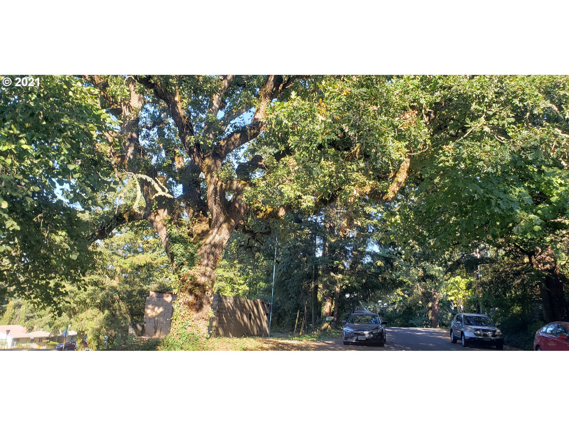 570 Lorane Highway Eugene, OR 97405 - Photo 6 of 11 a view of yard