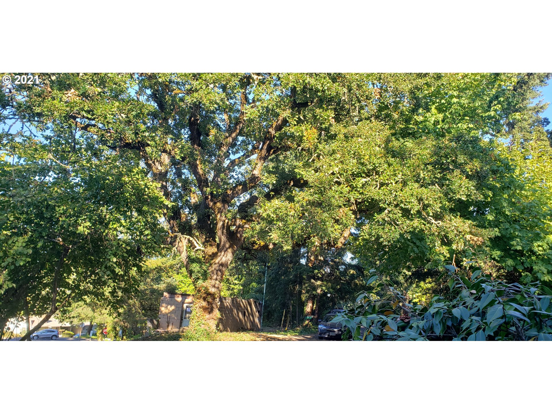 570 Lorane Highway Eugene, OR 97405 - Photo 7 of 11 a view of a field