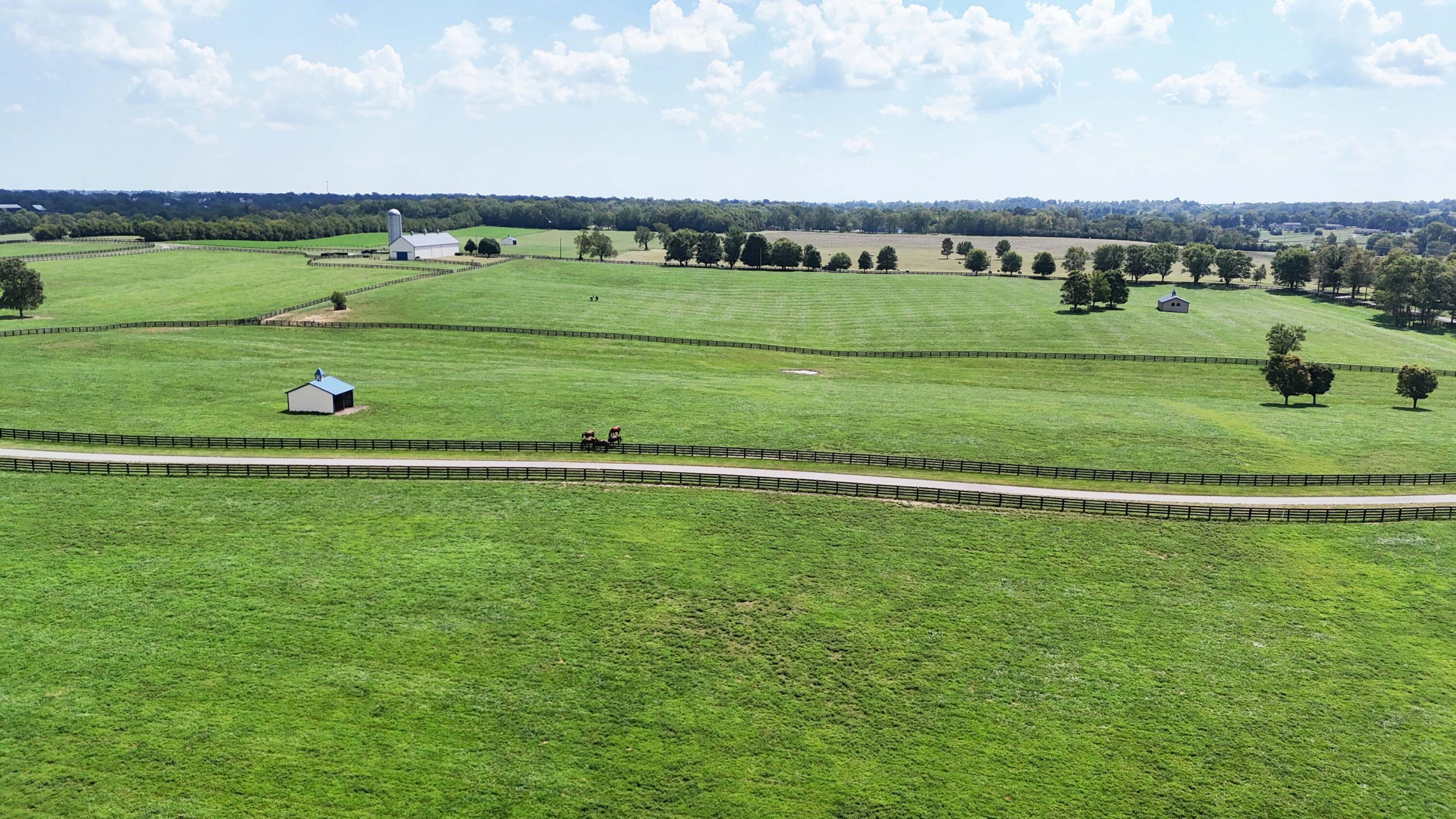 3469 Winchester Road Lexington, KY 40509 - Photo 78 of 86 58