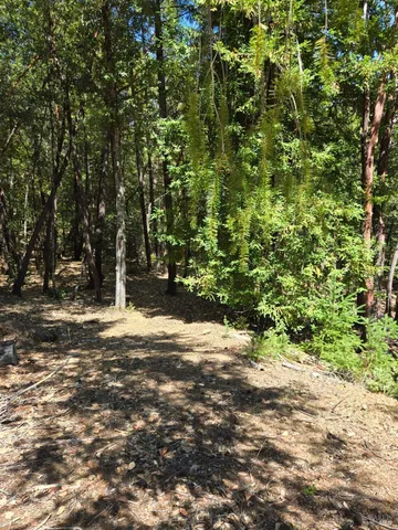 a backyard of a house with lots of green space