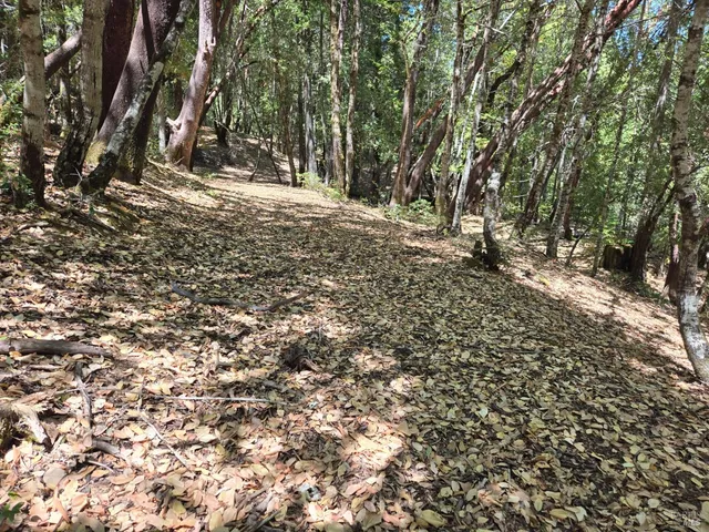 a view of empty space with trees