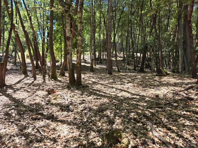 a view of outdoor space with trees