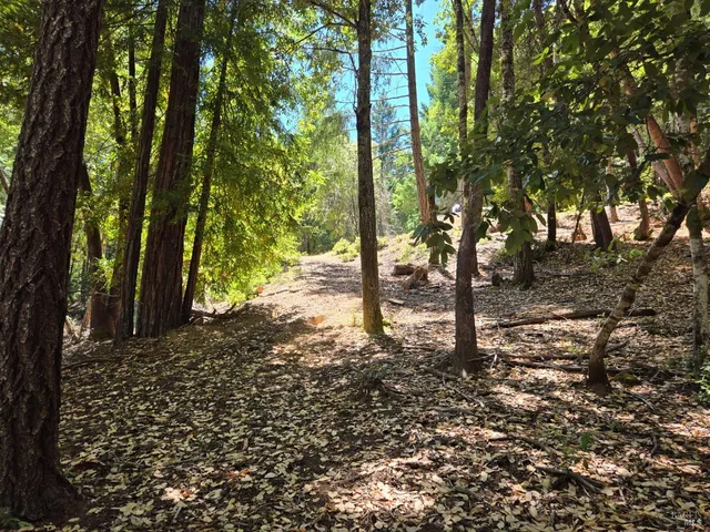 $12,000 | 26710 Poppy Drive, Willits, CA 95490