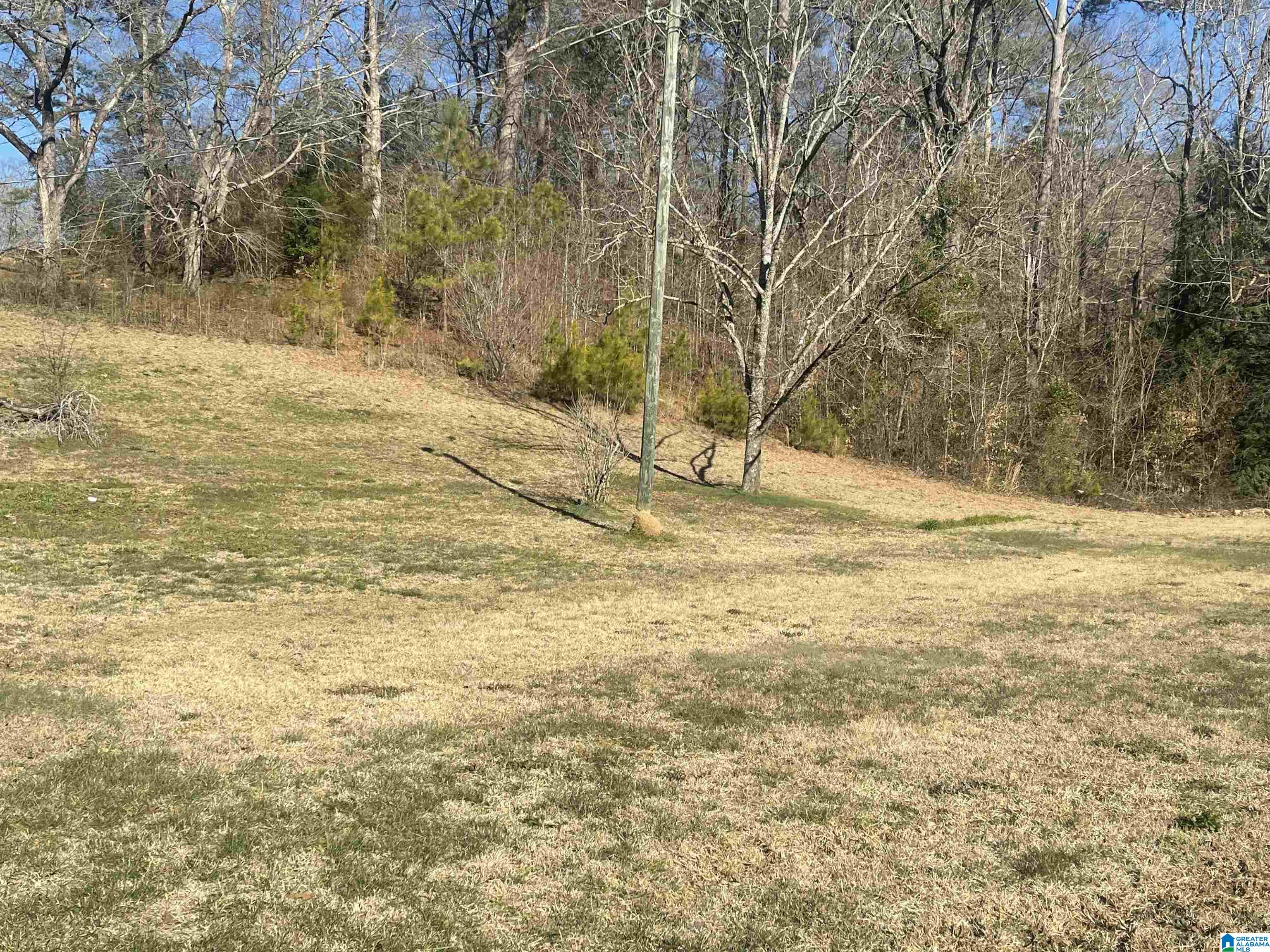 24 Brimer Road Anniston, AL 36207 - Photo 24 of 33
