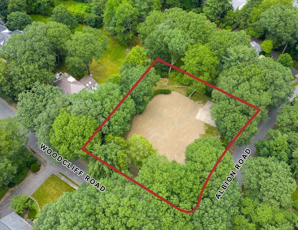 a view of a yard with plants and large trees