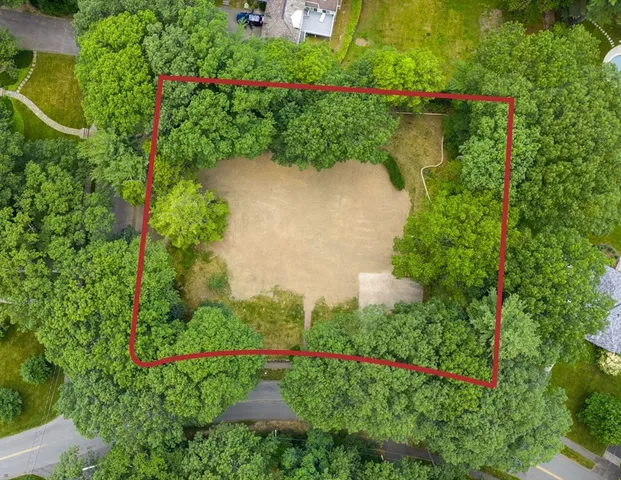 a view of a garden with plants and a fountain