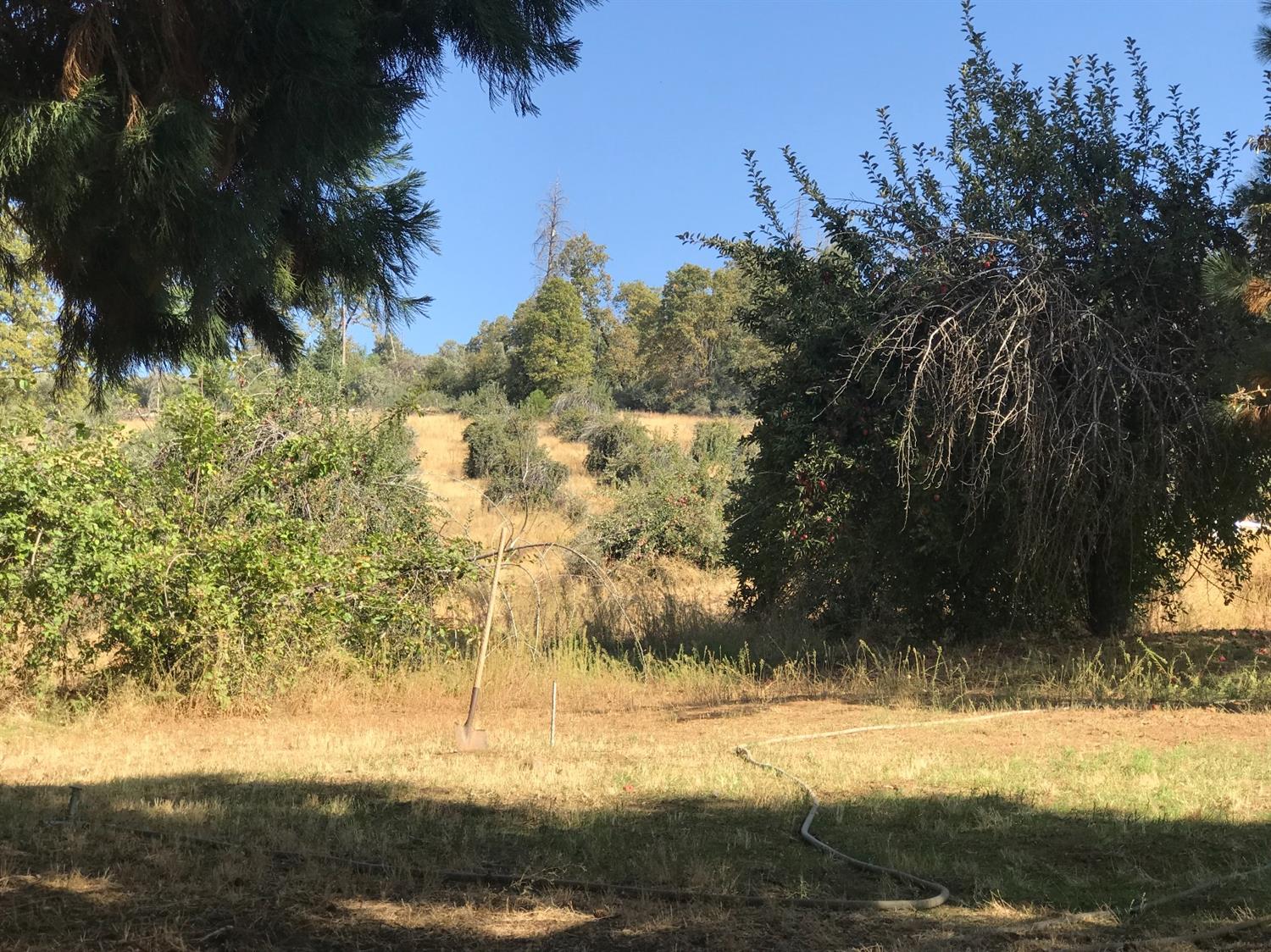 43611 Millwood Road Miramonte, CA 93641 - Photo 10 of 18 Gallery Image 10