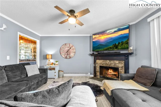 a living room with furniture a flat screen tv and a fireplace