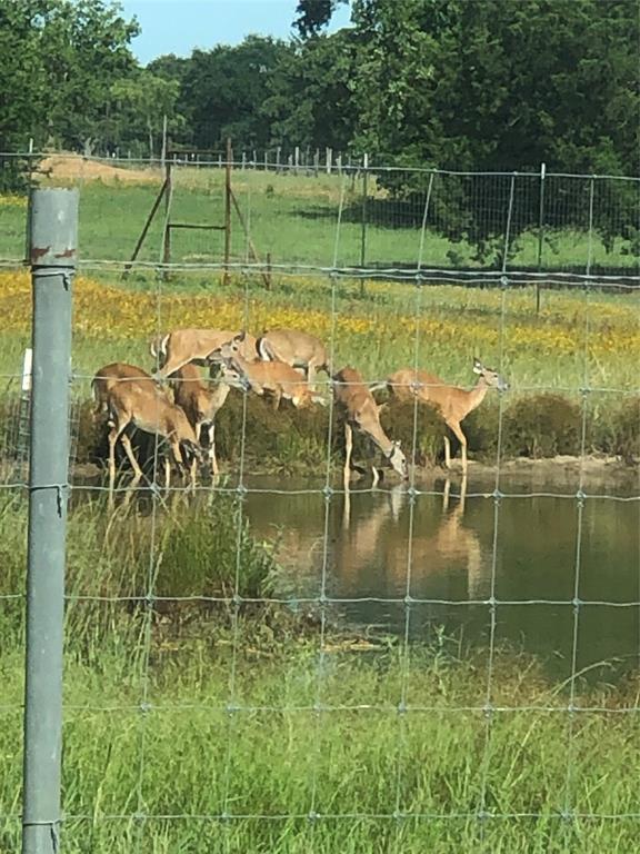 Tbd Fcr 920 Mexia, TX 76667 - Photo 31 of 34 a view of a backyard