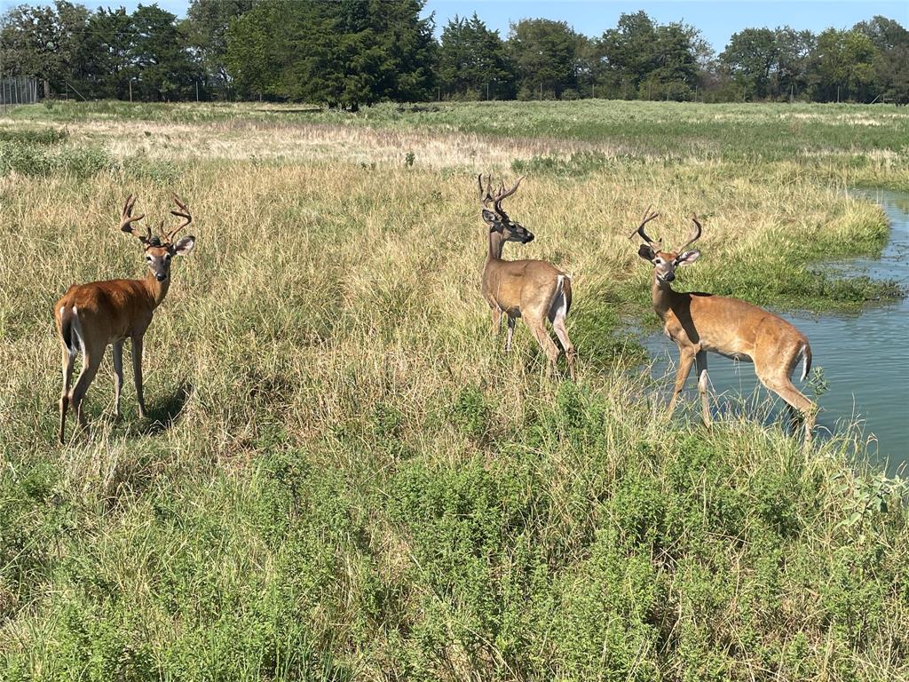 Tbd Fcr 920 Mexia, TX 76667 - Photo 32 of 34 a view of a lake from a yard