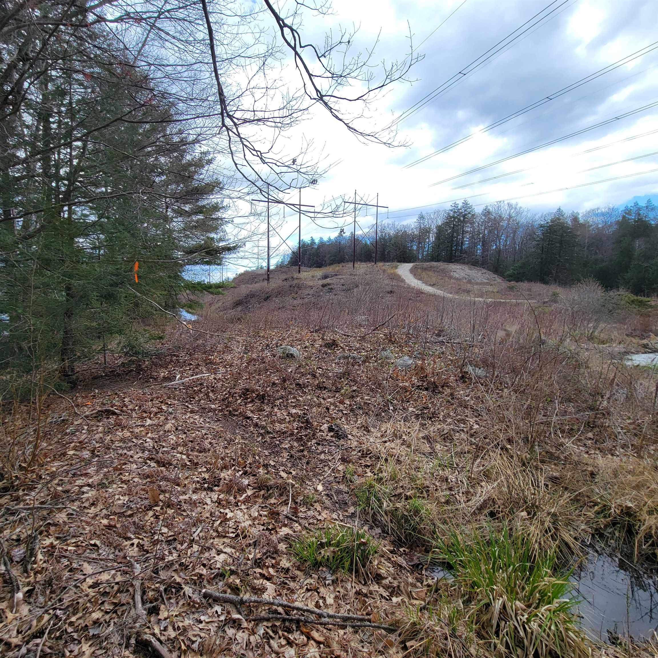 360 Candia Road Chester, NH 03036 - Photo 3 of 6