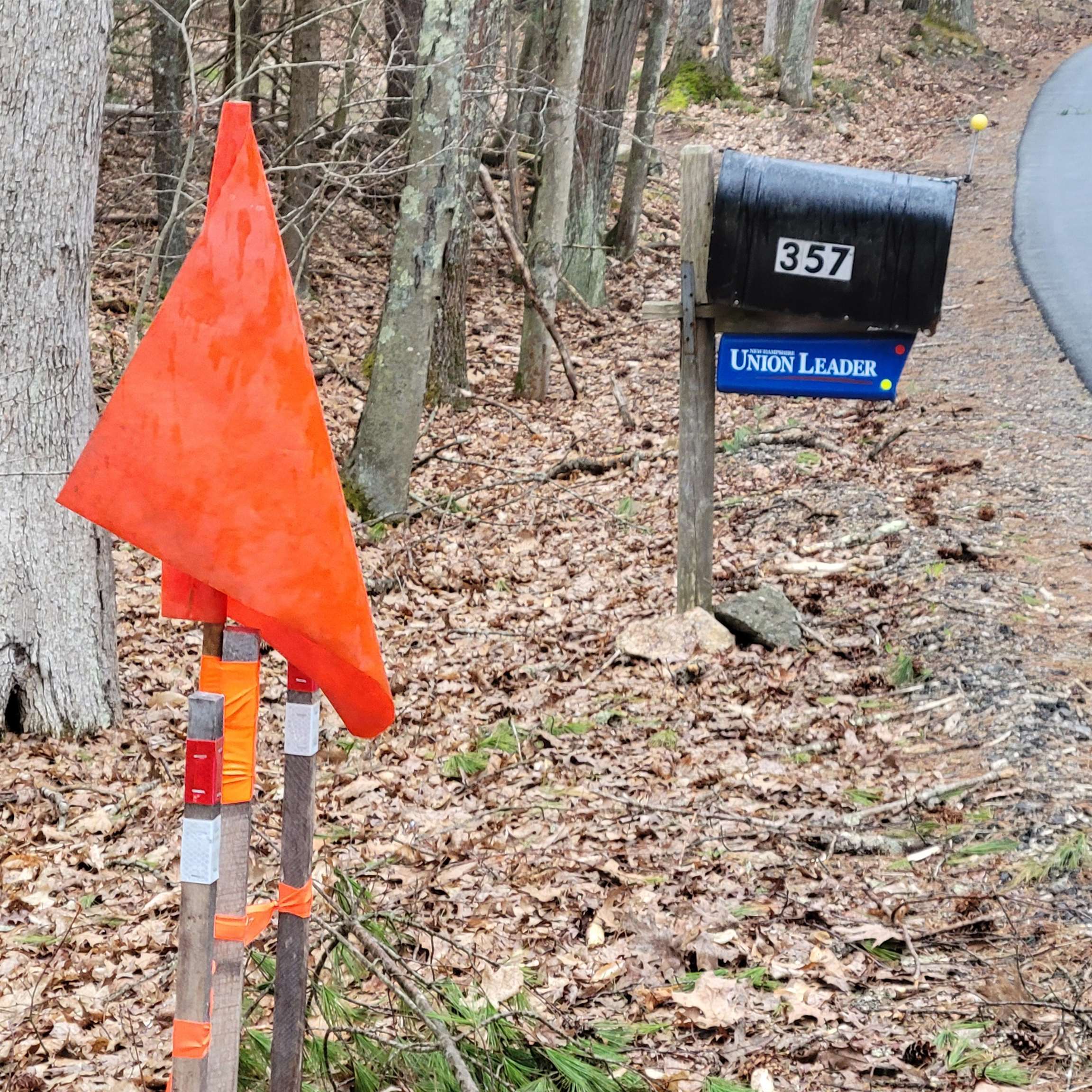 360 Candia Road Chester, NH 03036 - Photo 5 of 6