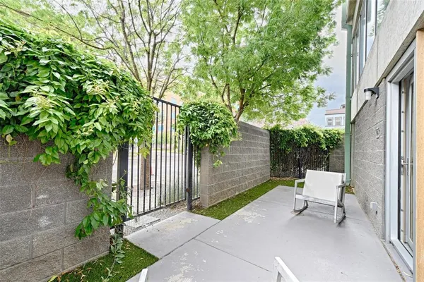 a view of a bench in the backyard with large tree