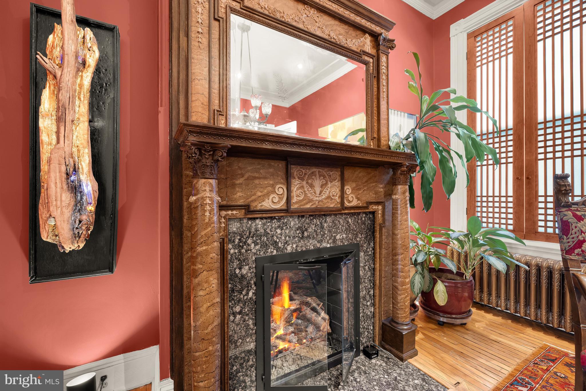 1436 Q Street Northwest Washington, DC 20009 - Photo 11 of 45 a living room with a fireplace windows and a potted plant