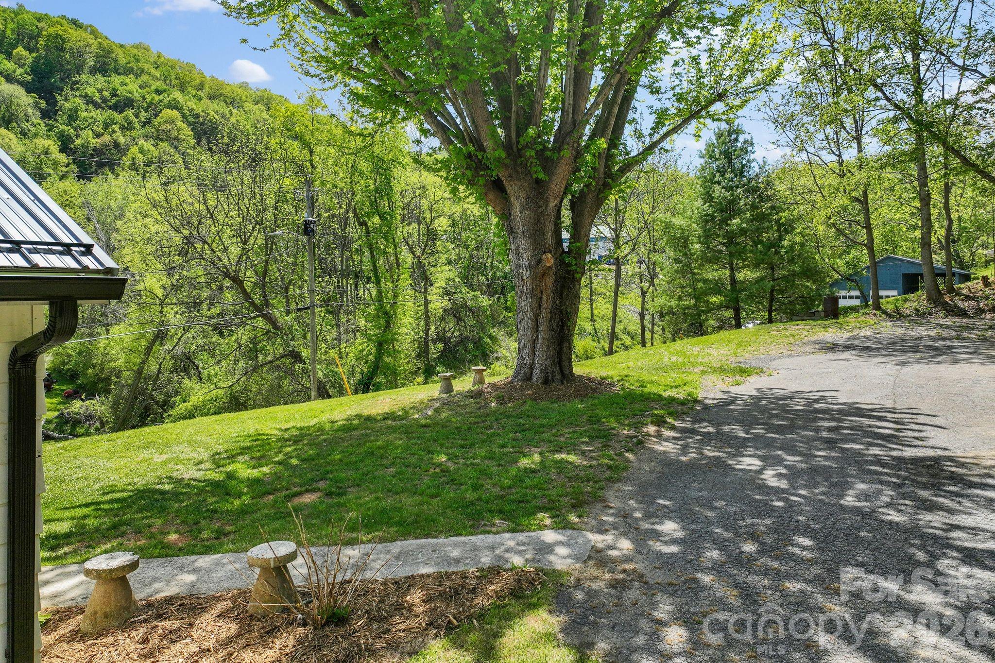 88 Mingus Cove Road Canton, NC 28716 - Photo 24 of 27