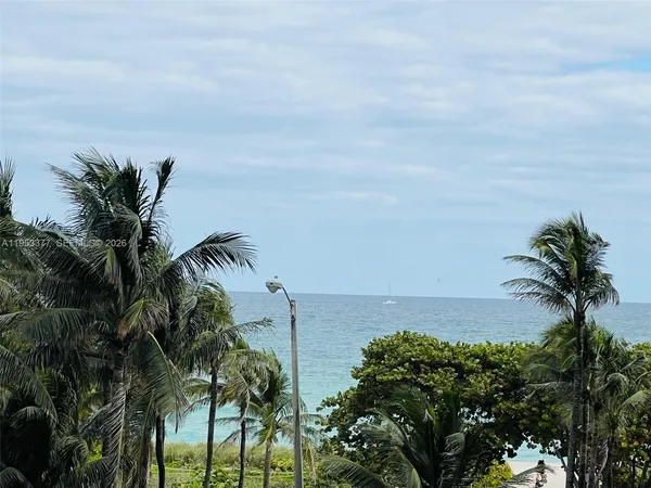 a view of a yard with palm trees