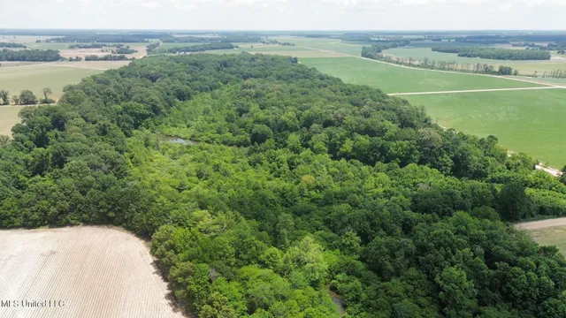 $132,000 | Sawmill Road, Shaw, MS 38773