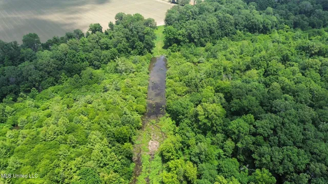 $132,000 | Sawmill Road, Shaw, MS 38773