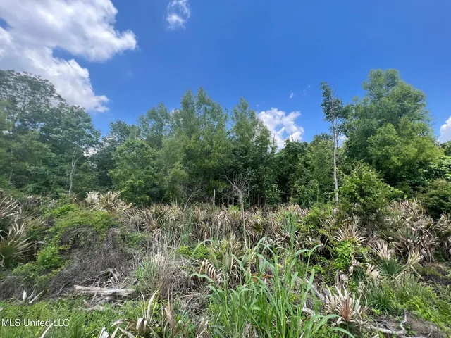 $132,000 | Sawmill Road, Shaw, MS 38773