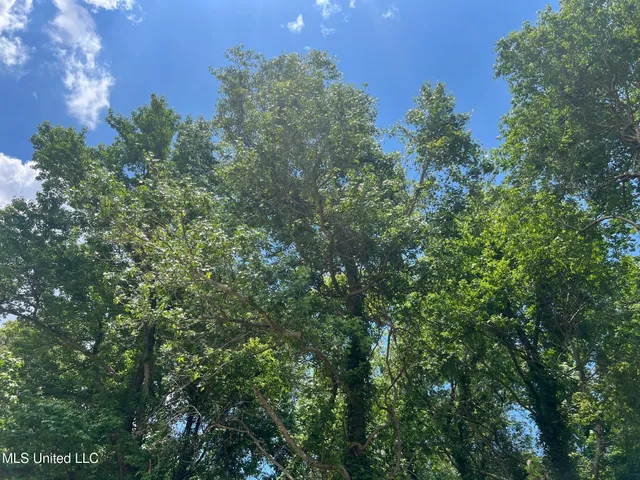 $132,000 | Sawmill Road, Shaw, MS 38773