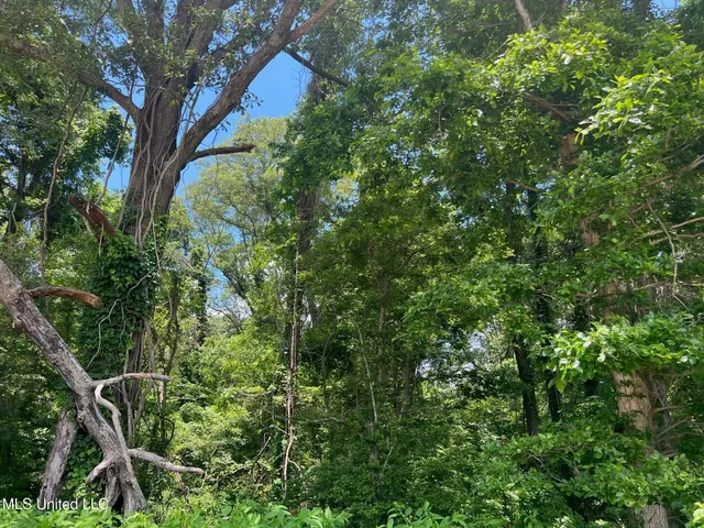 $132,000 | Sawmill Road, Shaw, MS 38773