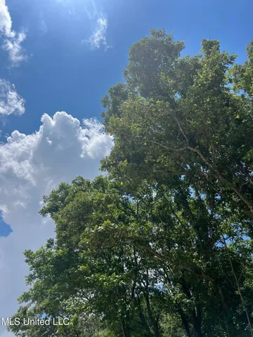 $132,000 | Sawmill Road, Shaw, MS 38773