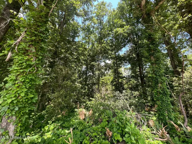 $132,000 | Sawmill Road, Shaw, MS 38773