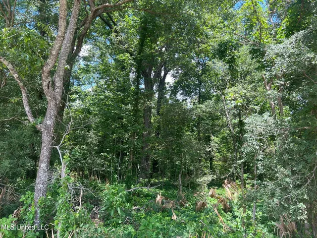 $132,000 | Sawmill Road, Shaw, MS 38773