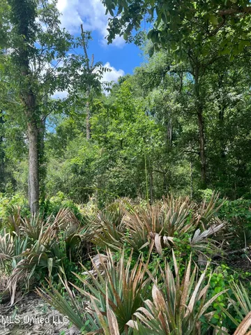 $132,000 | Sawmill Road, Shaw, MS 38773