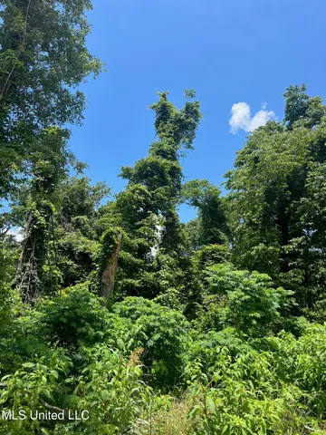 $132,000 | Sawmill Road, Shaw, MS 38773