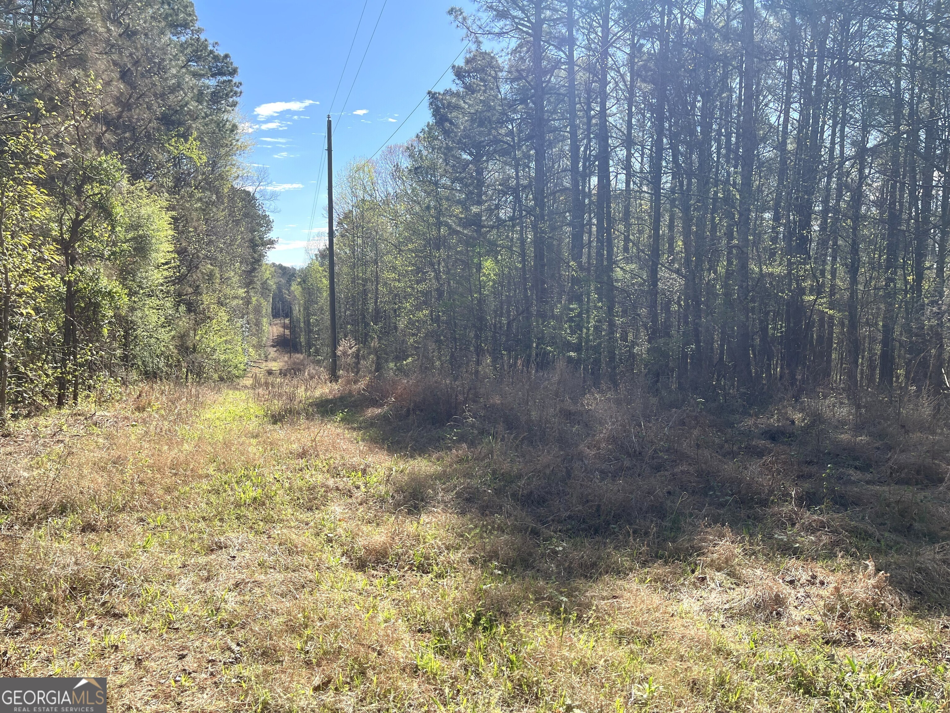 471 Raburn Road Bremen, GA 30110 - Photo 2 of 3 Front of property