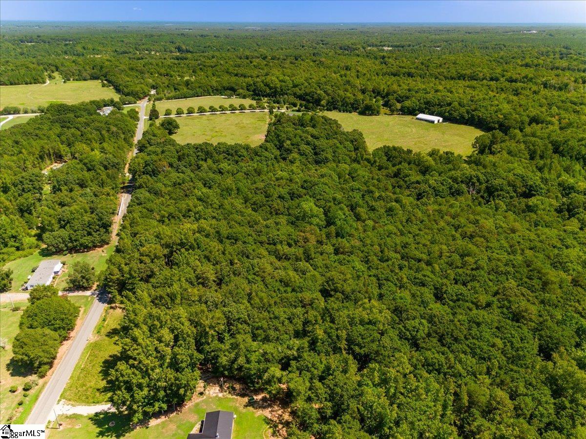 17-xx Thompson Road Fountain Inn, SC 29644 - Photo 12 of 20