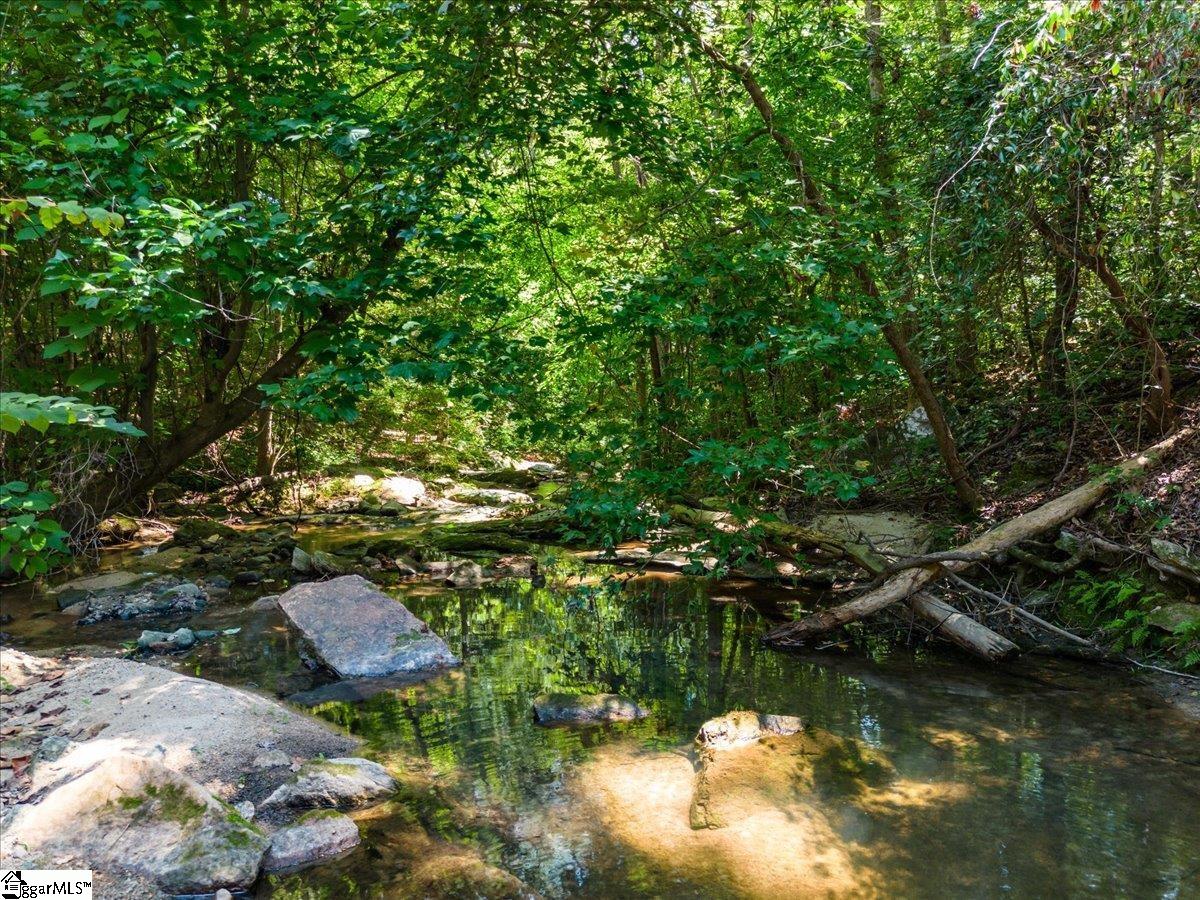 17-xx Thompson Road Fountain Inn, SC 29644 - Photo 3 of 20